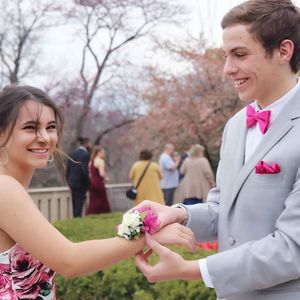 Meet your Posher, Jake